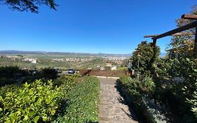 Tenuta Lisetta